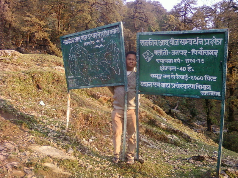 Munsyari valley on arrival